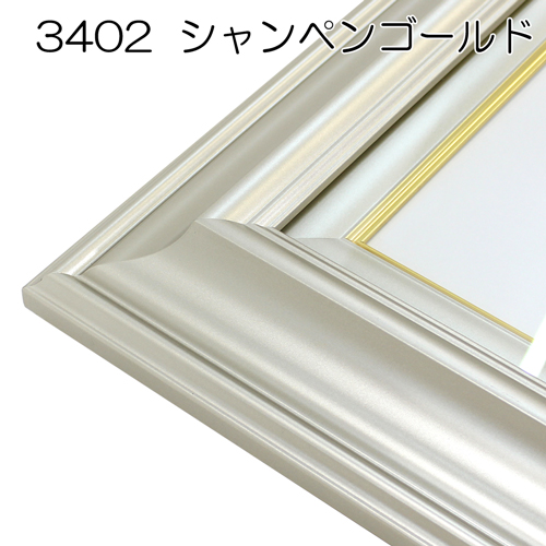 3402(アクリル)　【既製品サイズ】油彩額縁