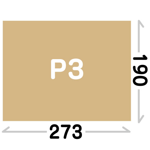 P3(273×190mm)