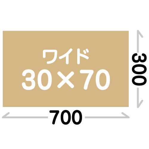 30X70(300X700mm)