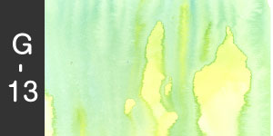 G-13