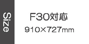 F30号に対応