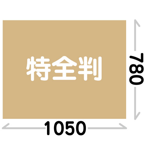 デッサン額縁特全判サイズ