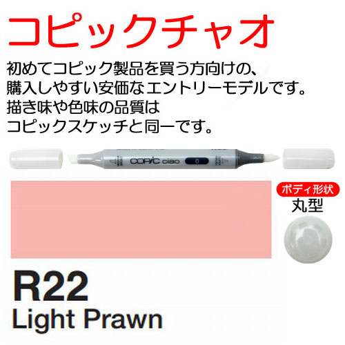 COPIC]R22 コピックチャオ | 額縁通販・画材通販のことならマルニ額縁