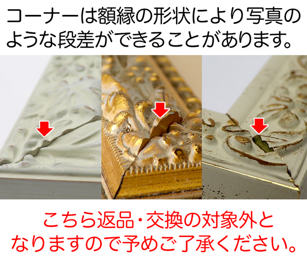 デッサン額縁：MRN-D3008-G ゴールド（UVカットアクリル）（オーダー