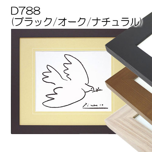 デッサン額縁：D788（06-D788）（UVカットアクリル）（オーダーメイドサイズ）