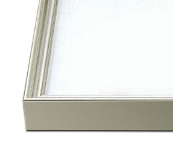 【セール品】仮額C-40(ステン)　40F(1000×803)