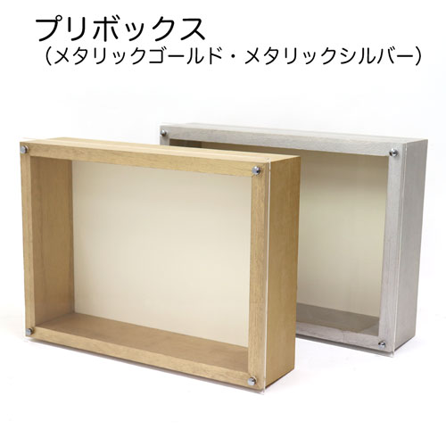 ボックス額縁：プリボックス A4（210x297）（アクリル）