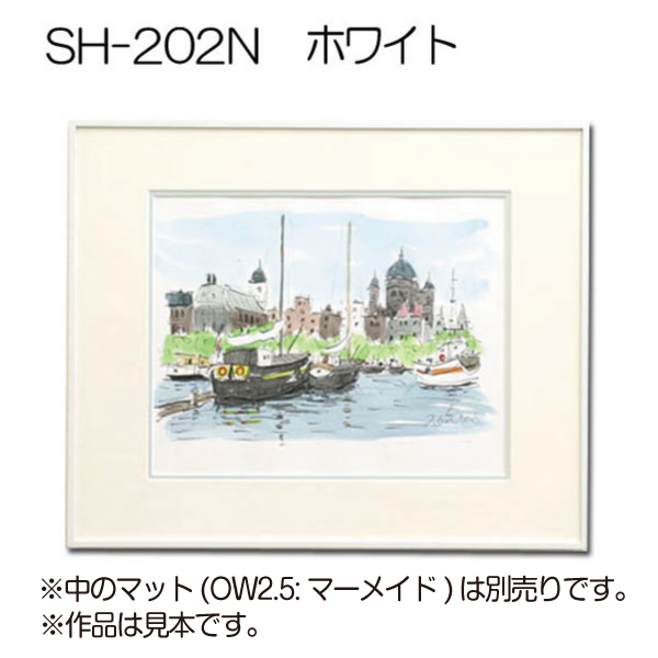 デッサン額縁:SH-202N(SL-202N)(アクリル)(アルフレーム)(旧GS デッサン額縁:SH-202N(SL-202N)(アクリル)(アルフレーム)(旧GS