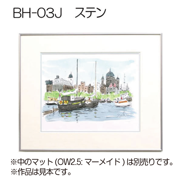 デッサン額縁:BH-03J S.ステン(アクリル)(アルフレーム)(既製品 デッサン額縁:BH-03J S.ステン(アクリル)(アルフレーム)(既製品