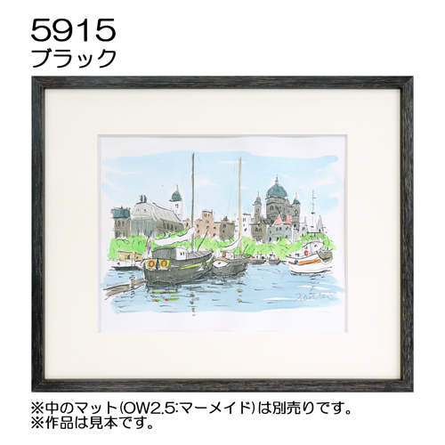 デッサン額縁：5915 ブラック（UVカットアクリル）