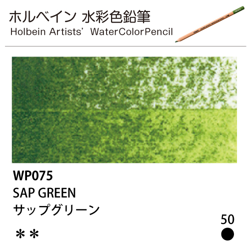 [ホルベインアーチスト 水彩色鉛筆] サップグリーン WP075