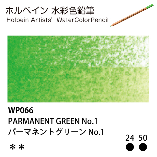 [ホルベインアーチスト 水彩色鉛筆] パーマネントグリーンNo.1 WP066