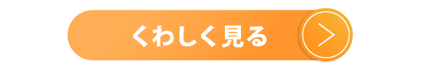 詳しく見る