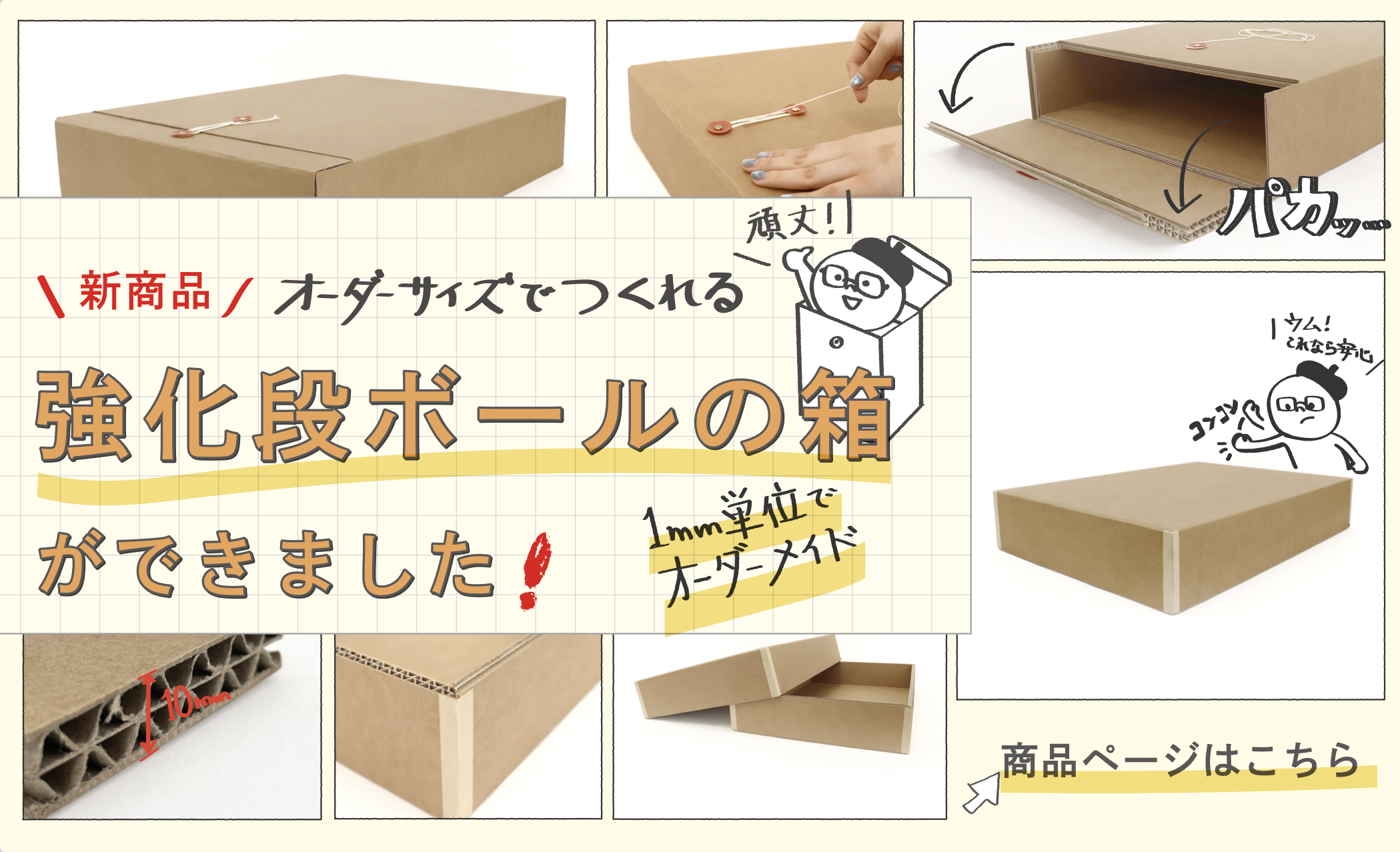 強化ダンボール製保存箱