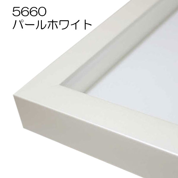 5660　パールホワイト【既製品サイズ】デッサン額縁