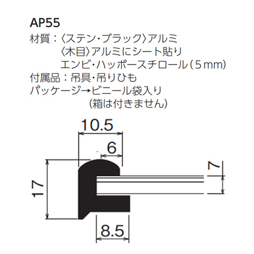 AP55　【既製品サイズ】パネル額縁　【まとめ売り10枚組】