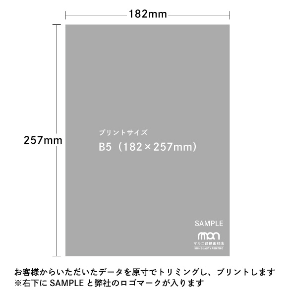 プリント　マルニジークレー(高品質印刷)　テストプリント　B5(182×257mm)