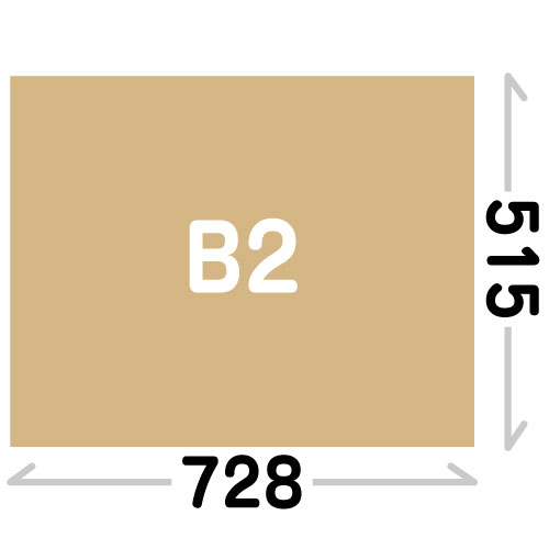 B2(728×515mm)