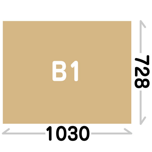 B1(1030×728mm)