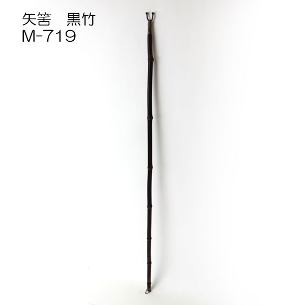 [矢筈]黒竹　(M-719)