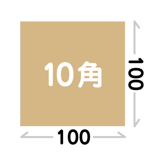 【正方形サイズ】10角(100×100)