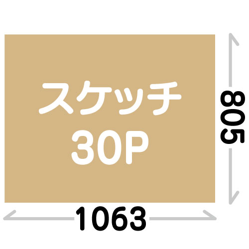 スケッチ30P(805×1063mm)