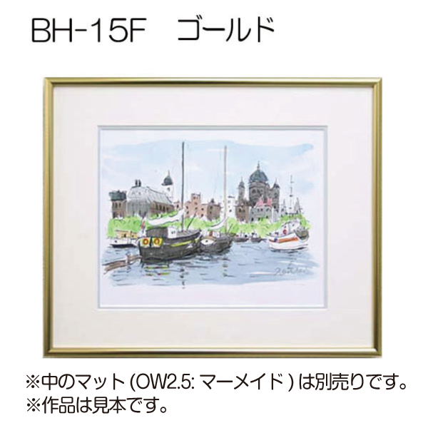 BH-15F(アクリル) 【既製品サイズ】デッサン額縁(アルフレーム) | 額縁