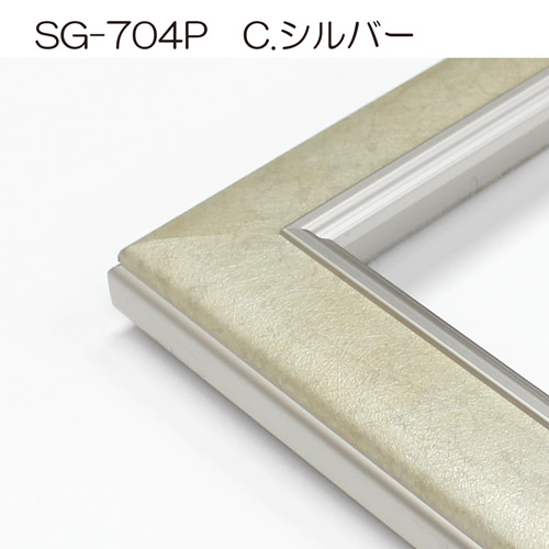 SG-704P(アクリル) 【既製品サイズ】デッサン額縁(アルフレーム 