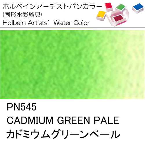 [ホルベインパンカラー]カドミウムグリーンペール　PN545