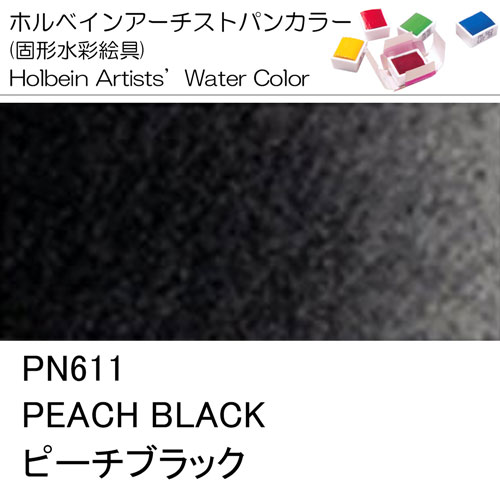 [ホルベインパンカラー]ピーチブラック　PN611